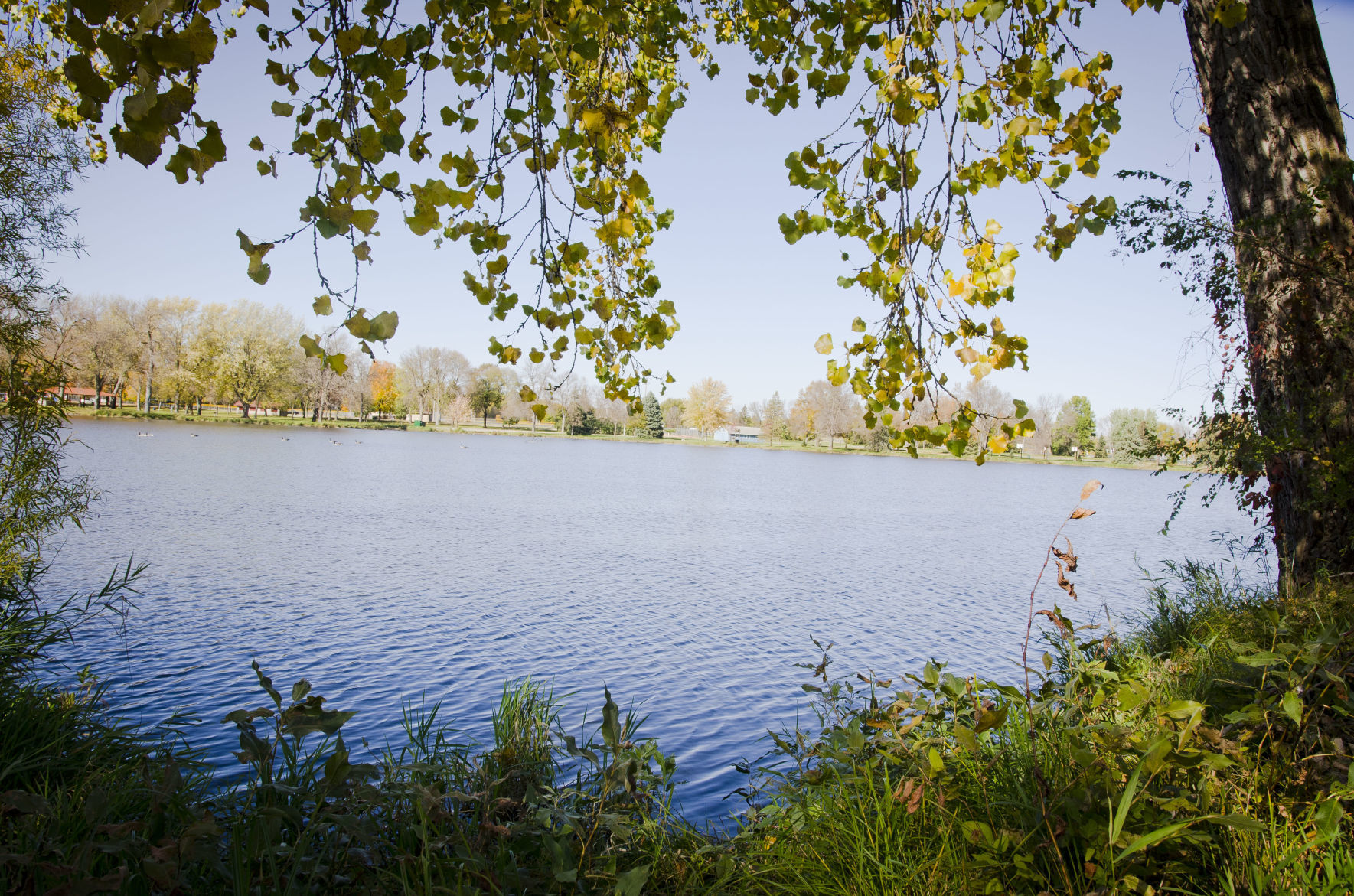 Fleurde-lis Dec. 2019 Framing Water